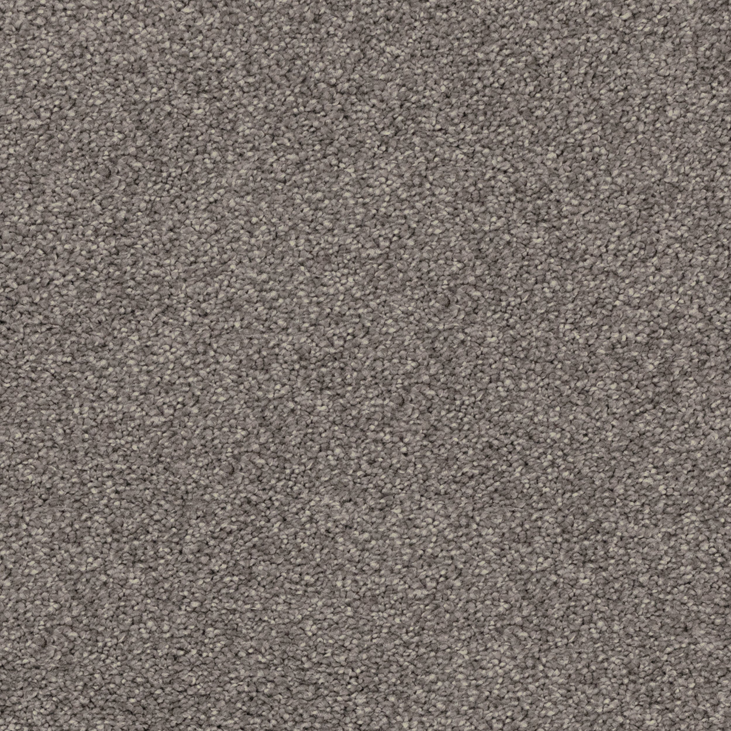 mushroom-stipple