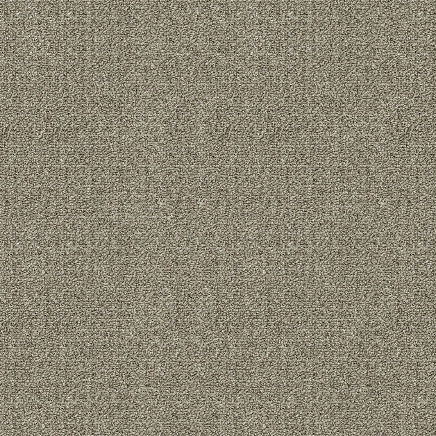 desert-taupe