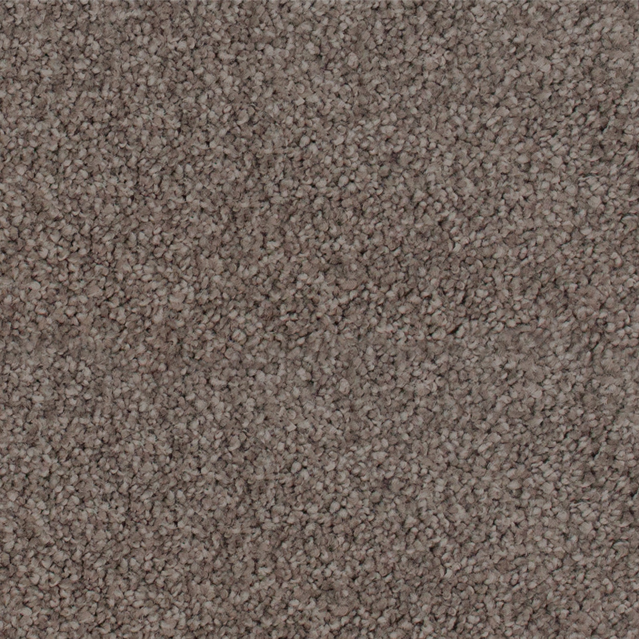 cocotone-stipple