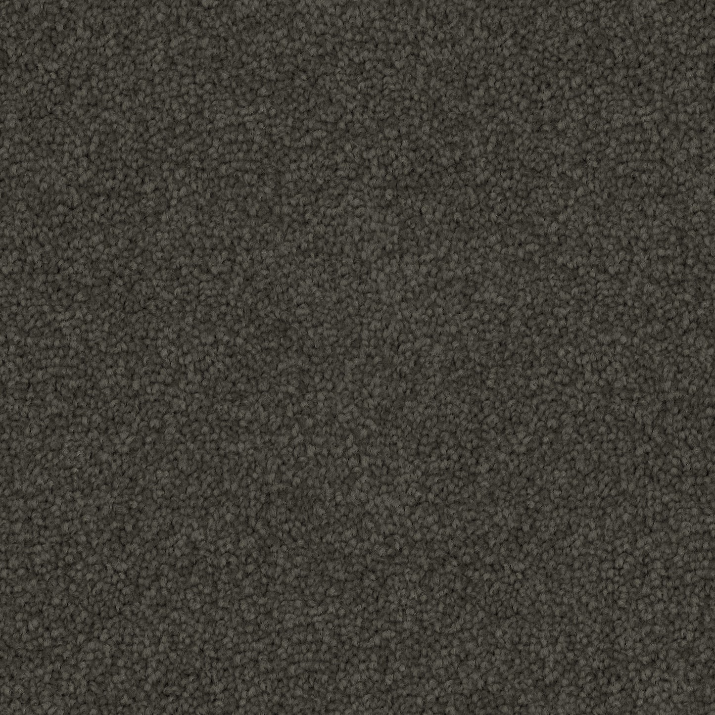 mouse-grey