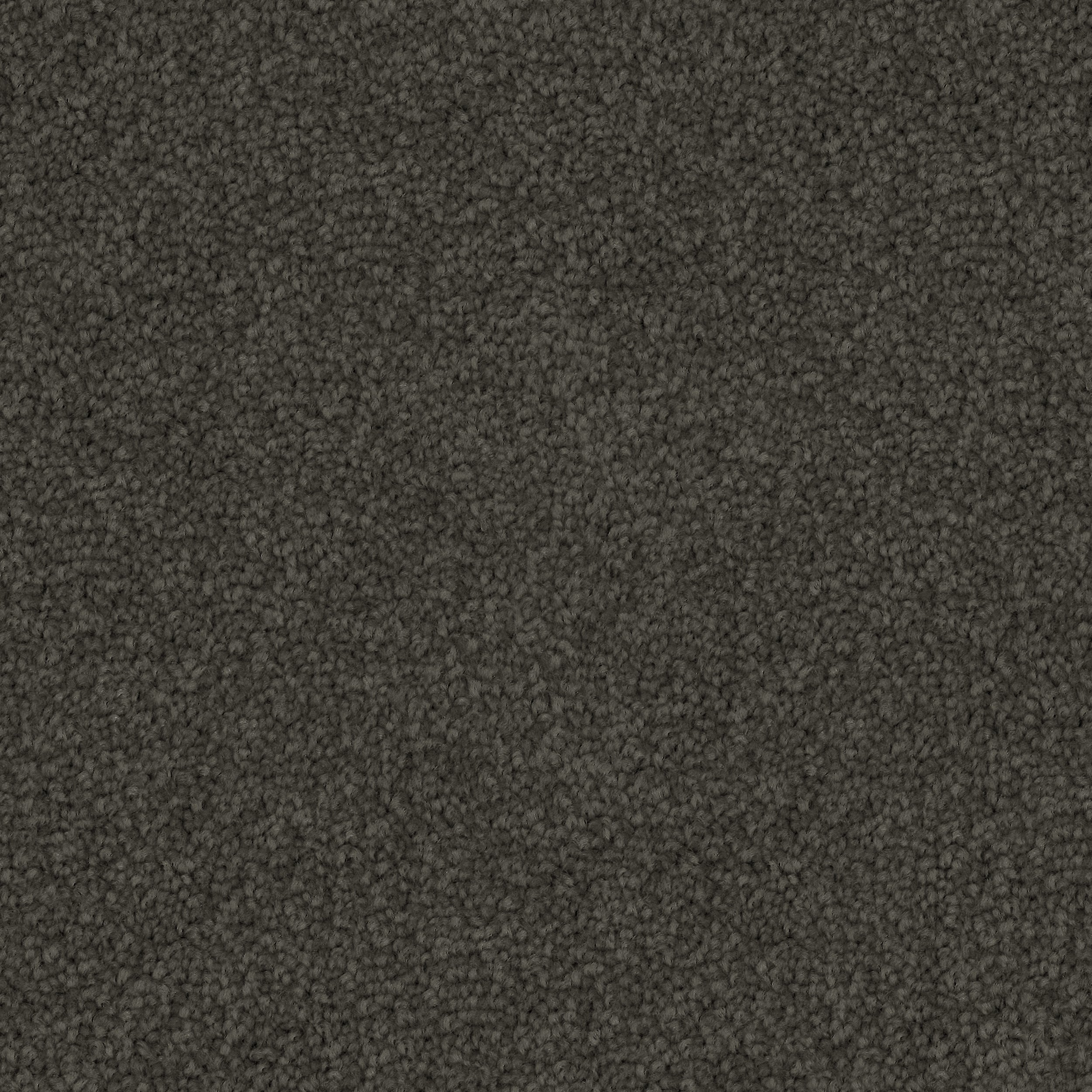 mouse-grey
