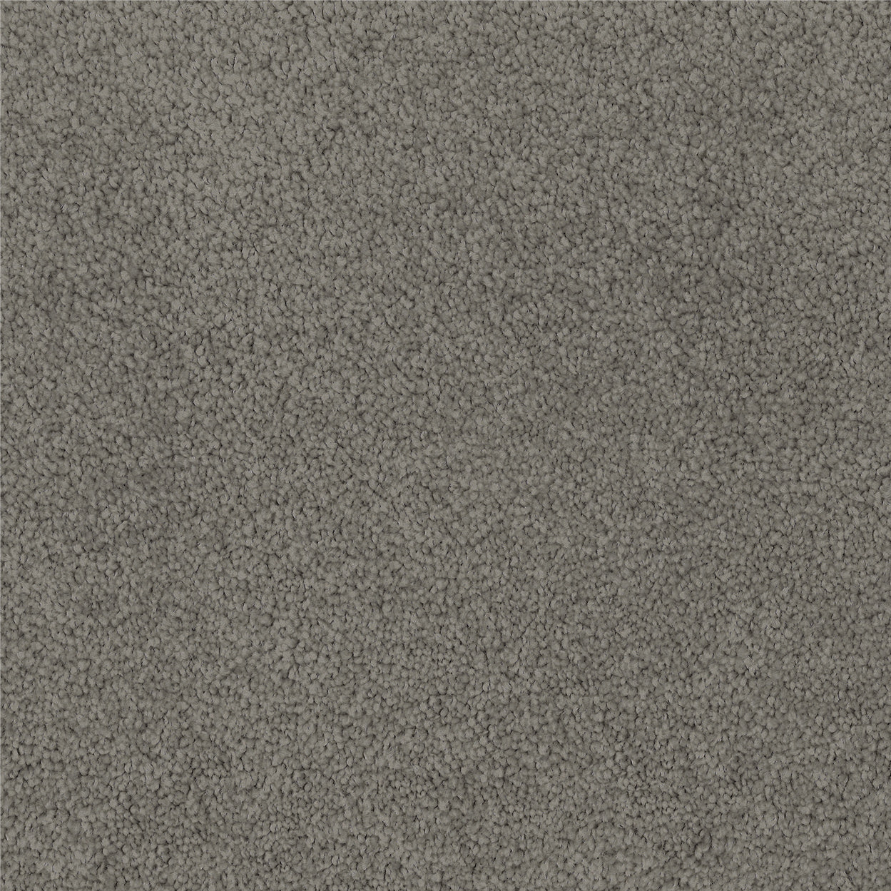 grey-horizon