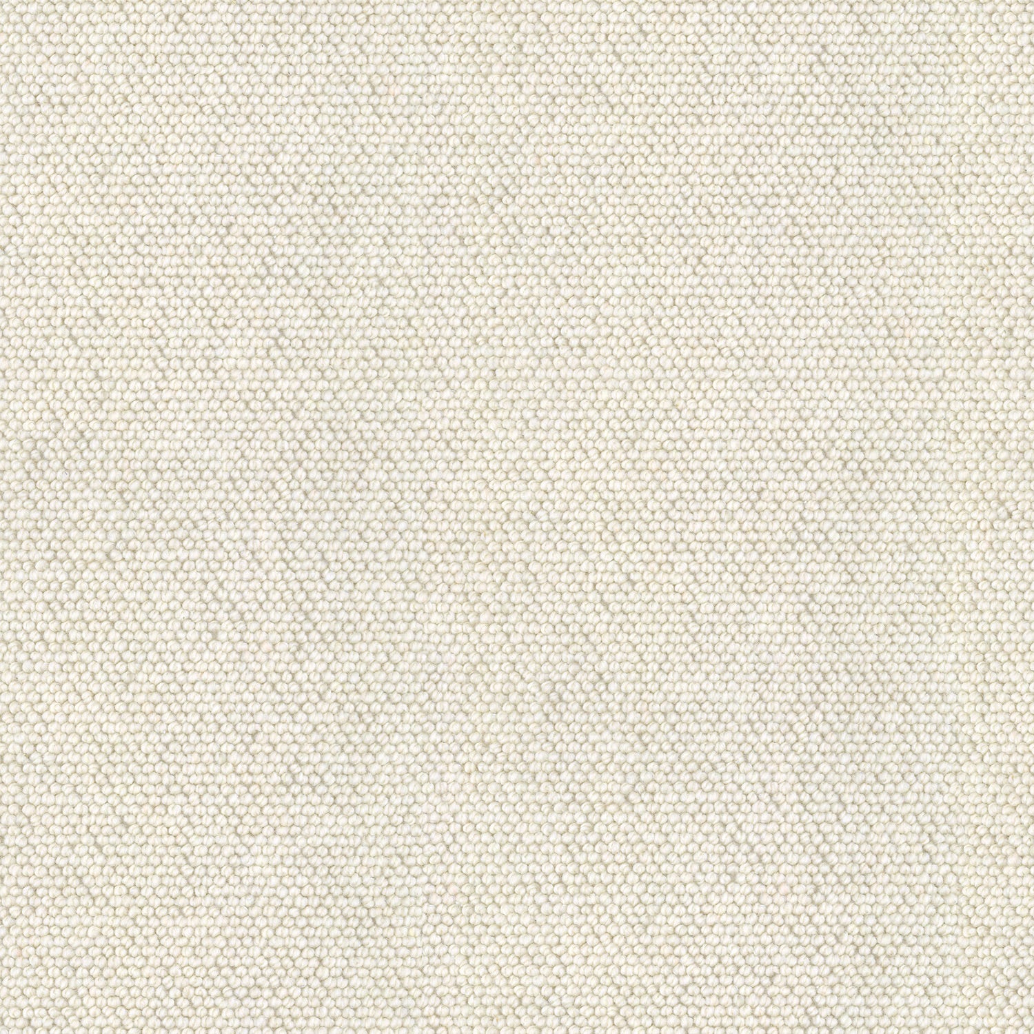 sea-pearl