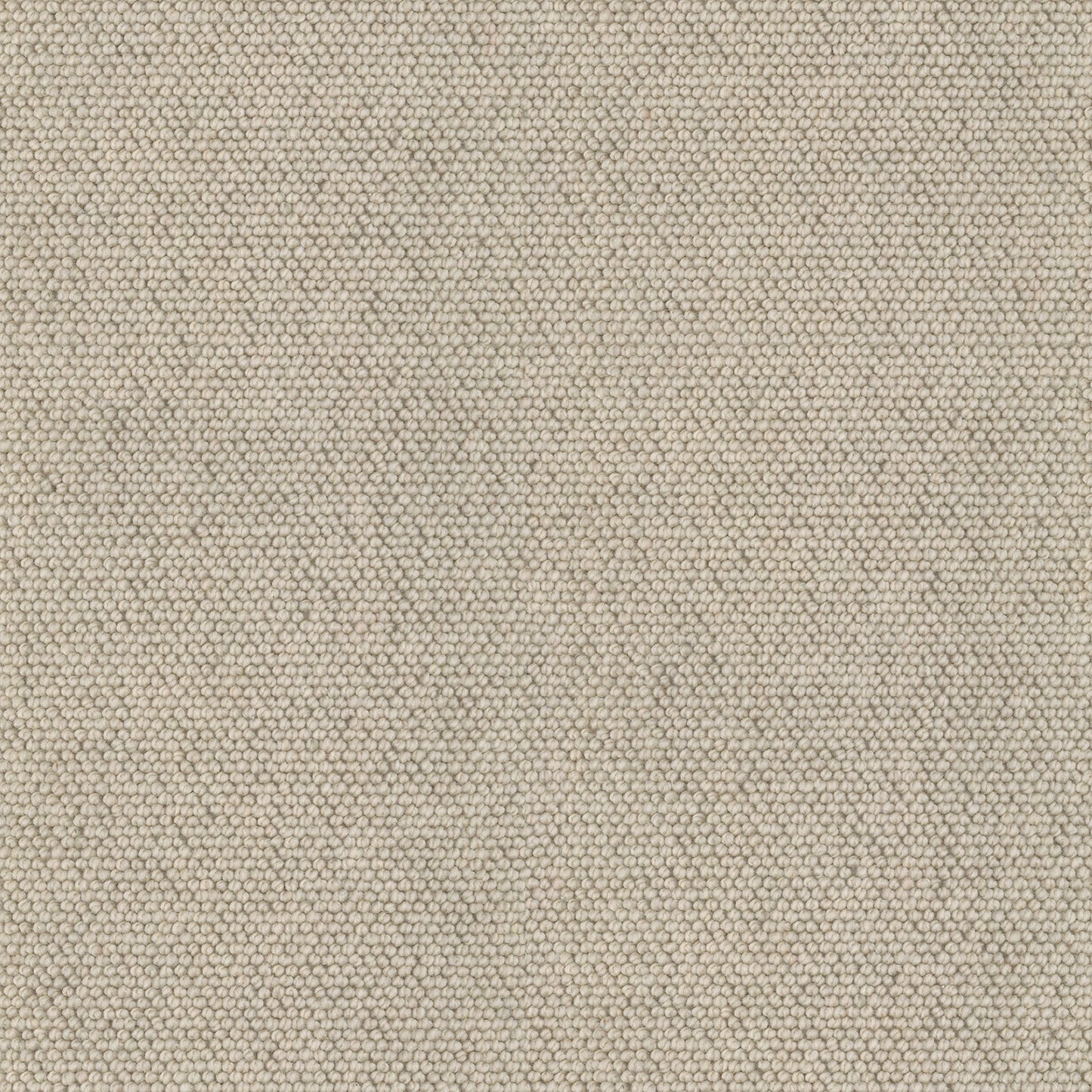 buck-wheat