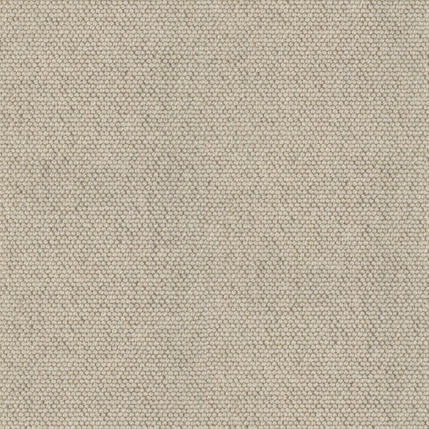 buck-wheat