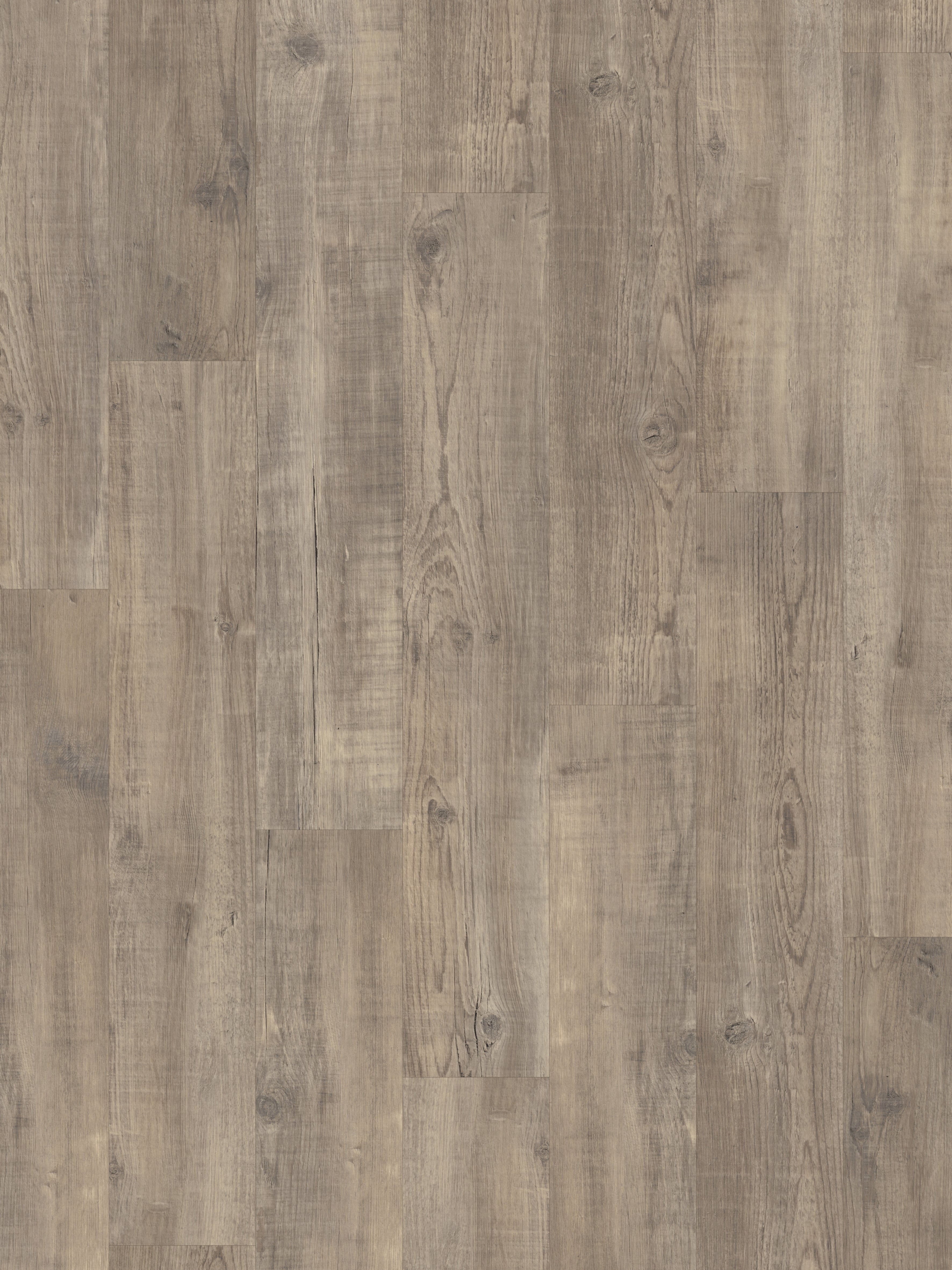 light-worn-oak