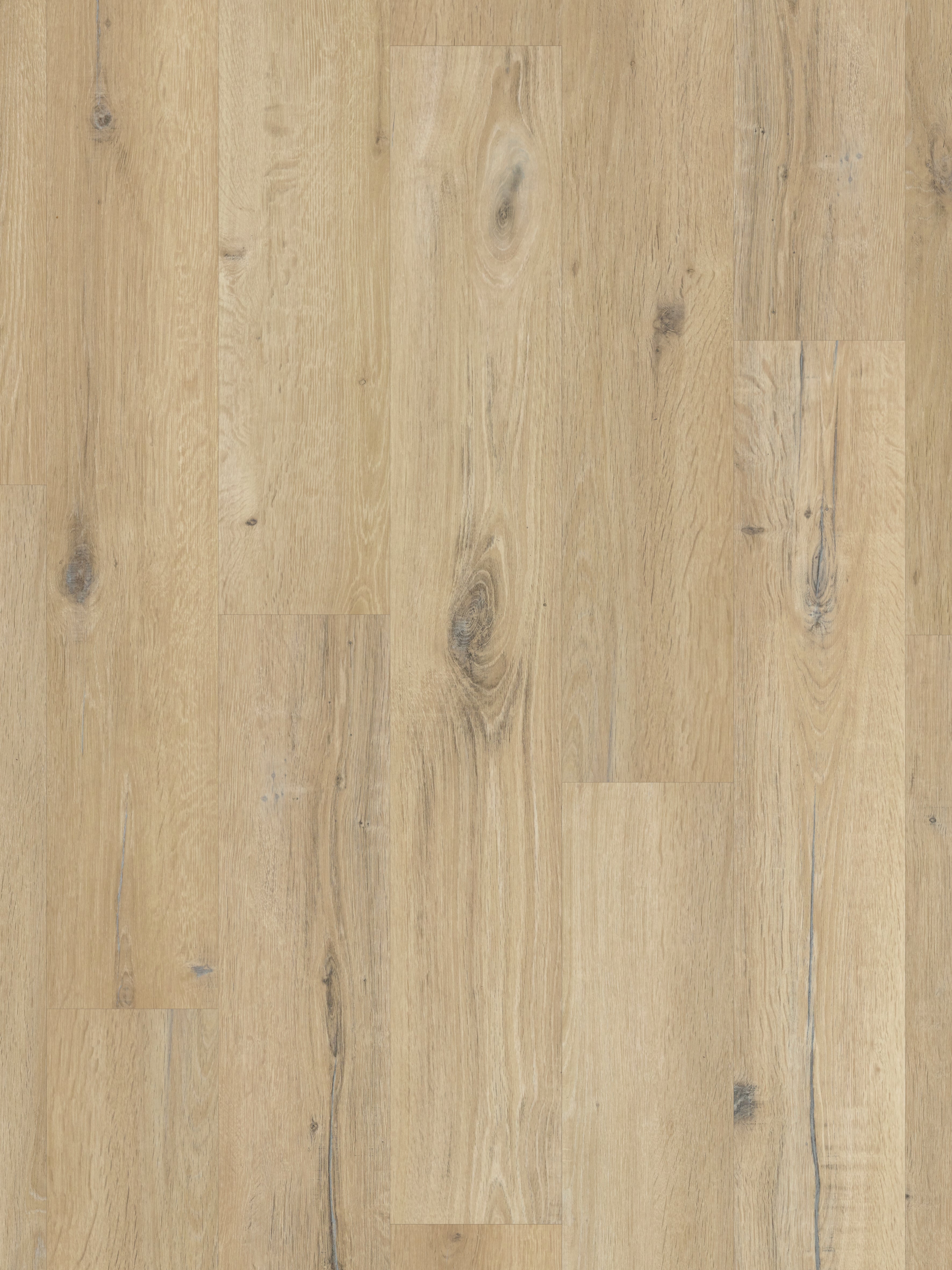 character-oak