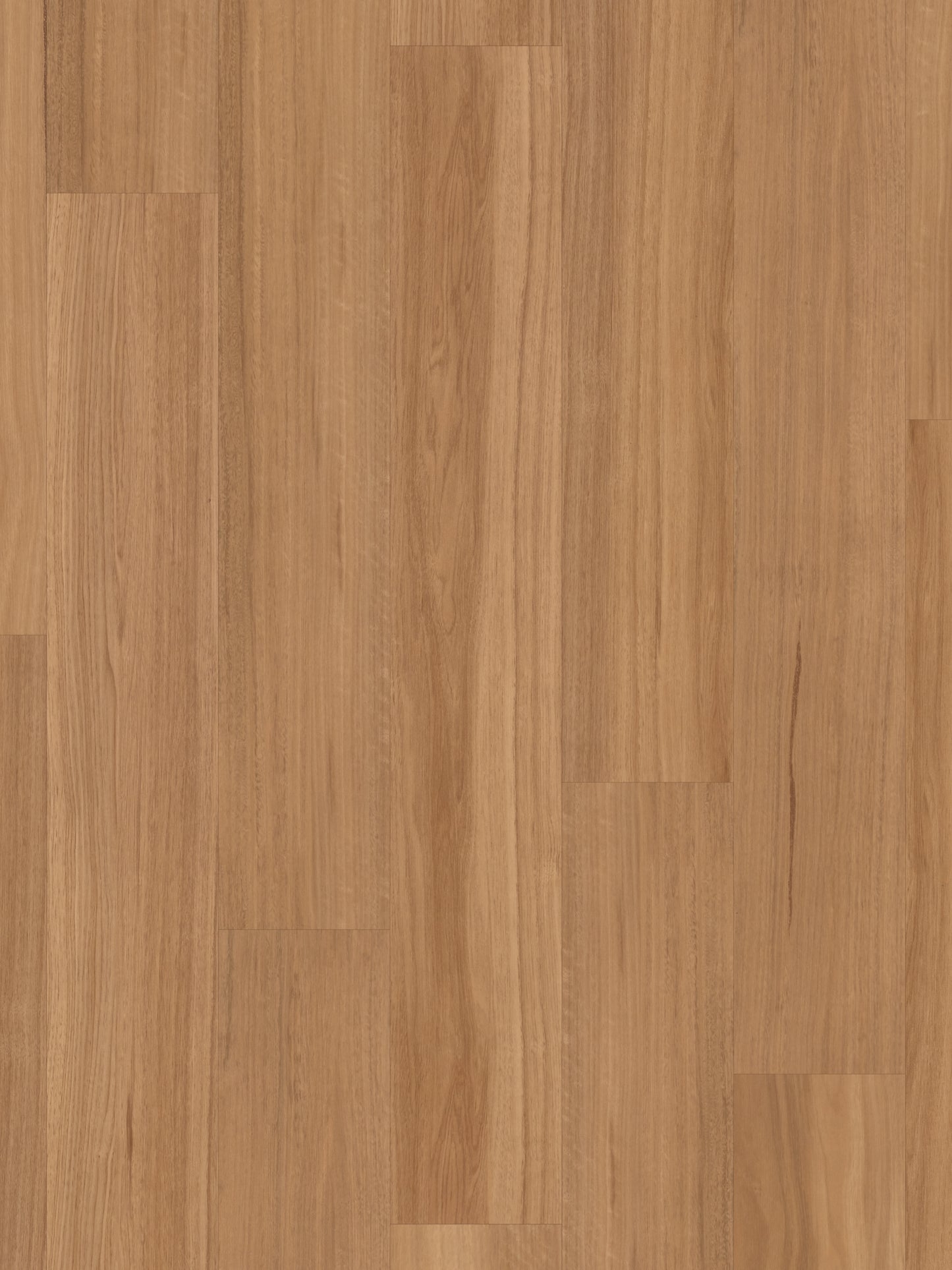 classic-spotted-gum