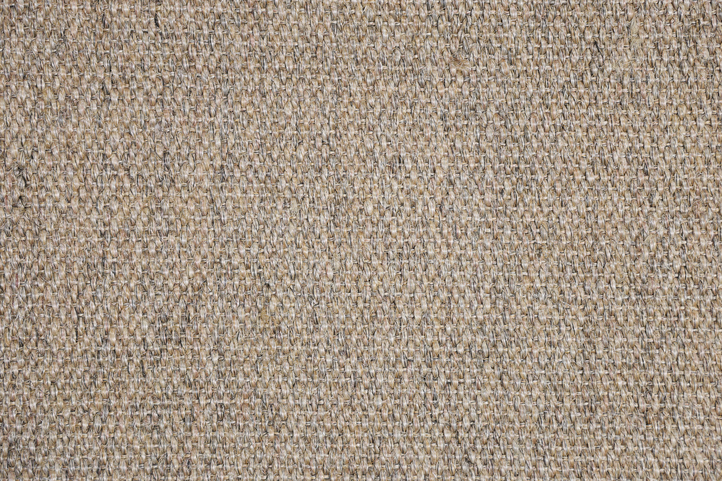 Sisal