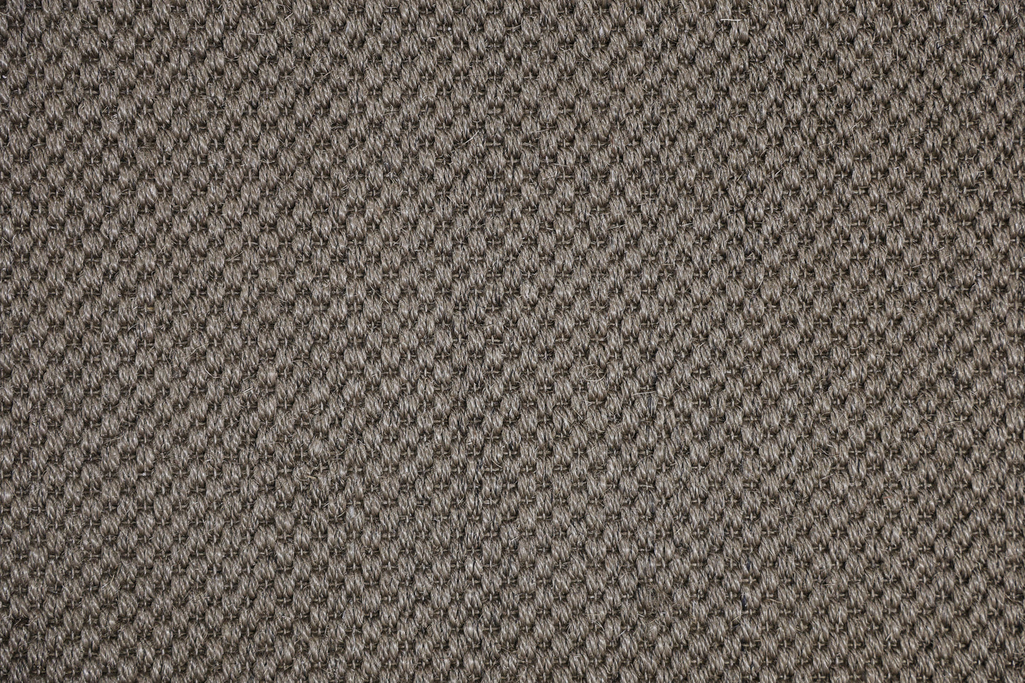 Sisal