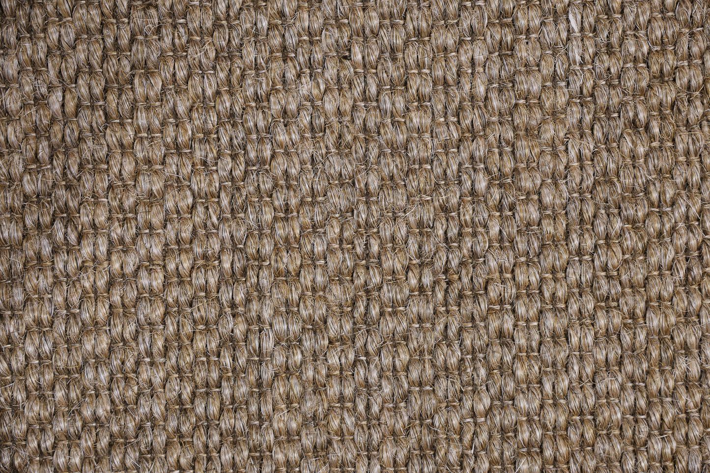 Sisal
