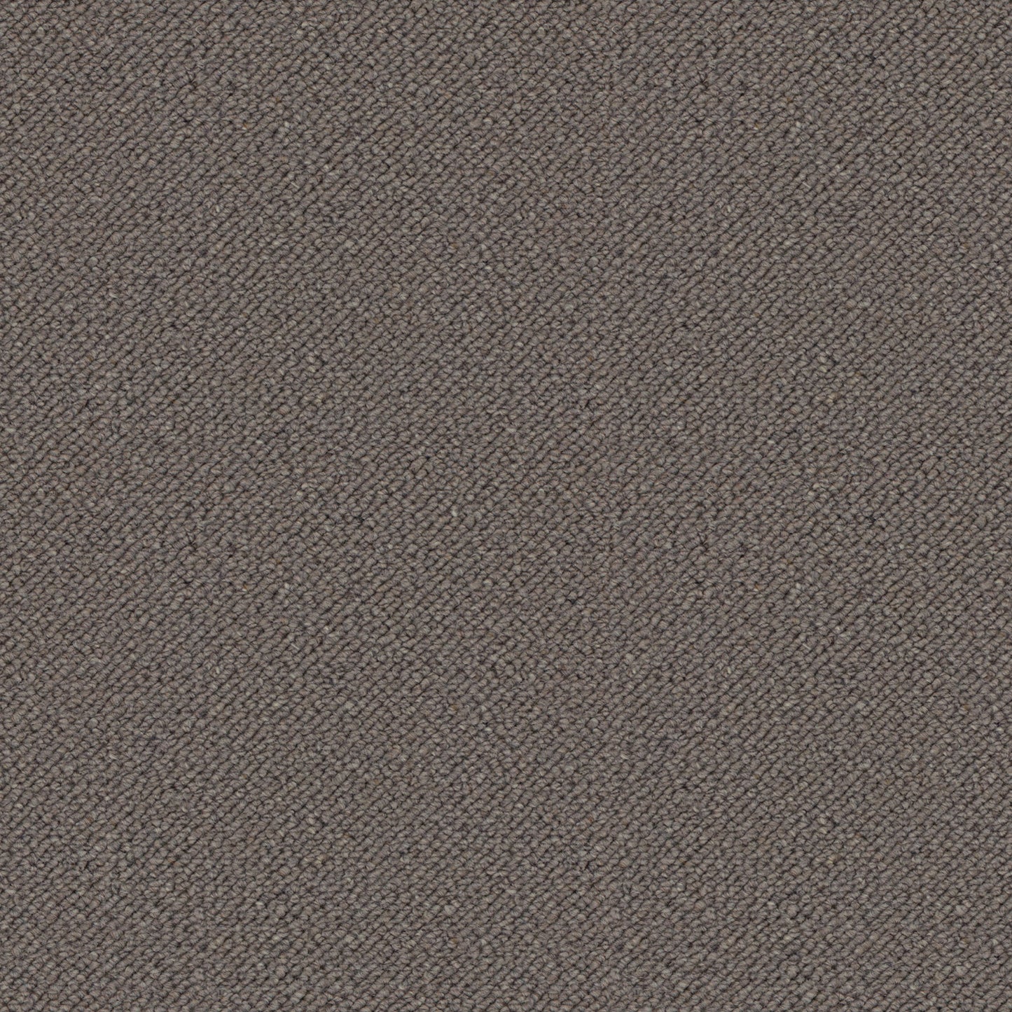 bark