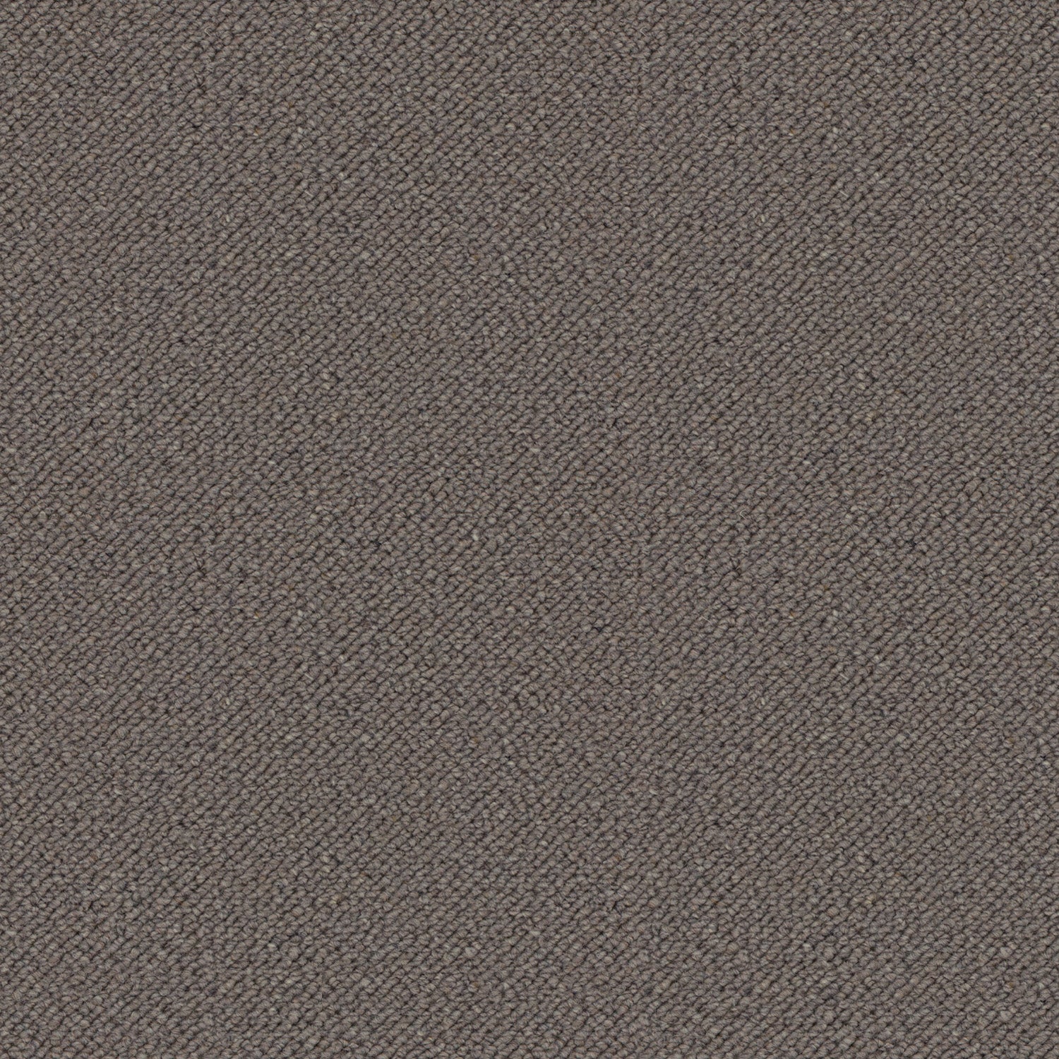 bark