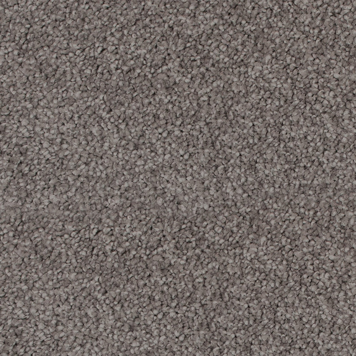 moonrock-stipple