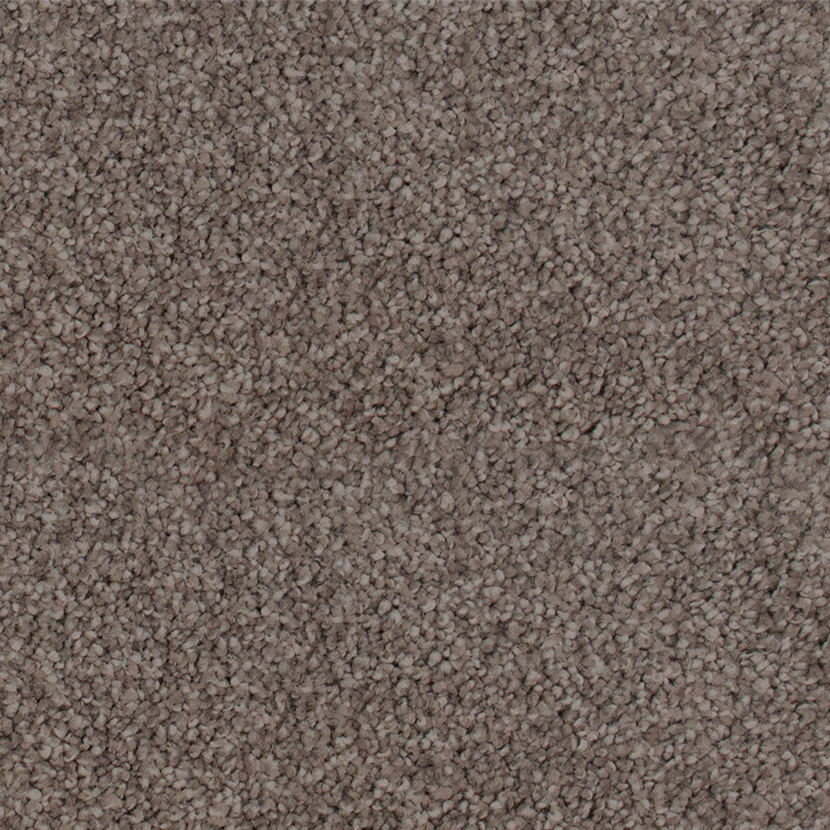 cocotone-stipple