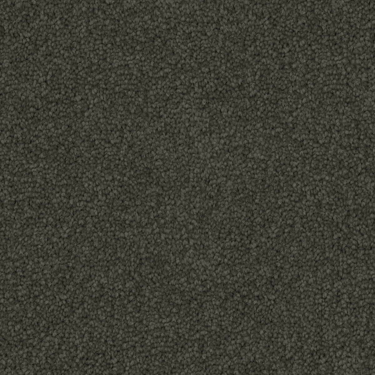mouse-grey