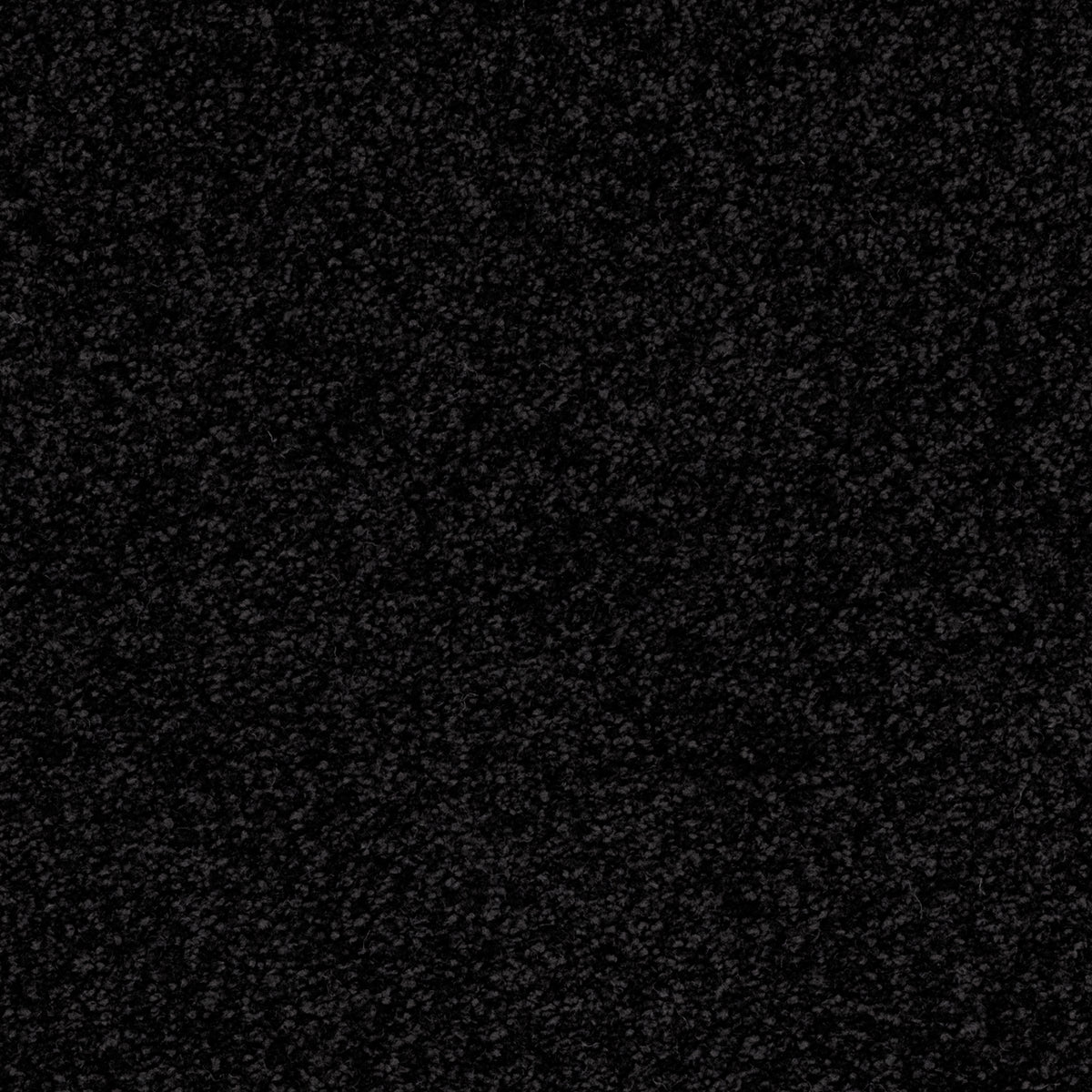 blackwood