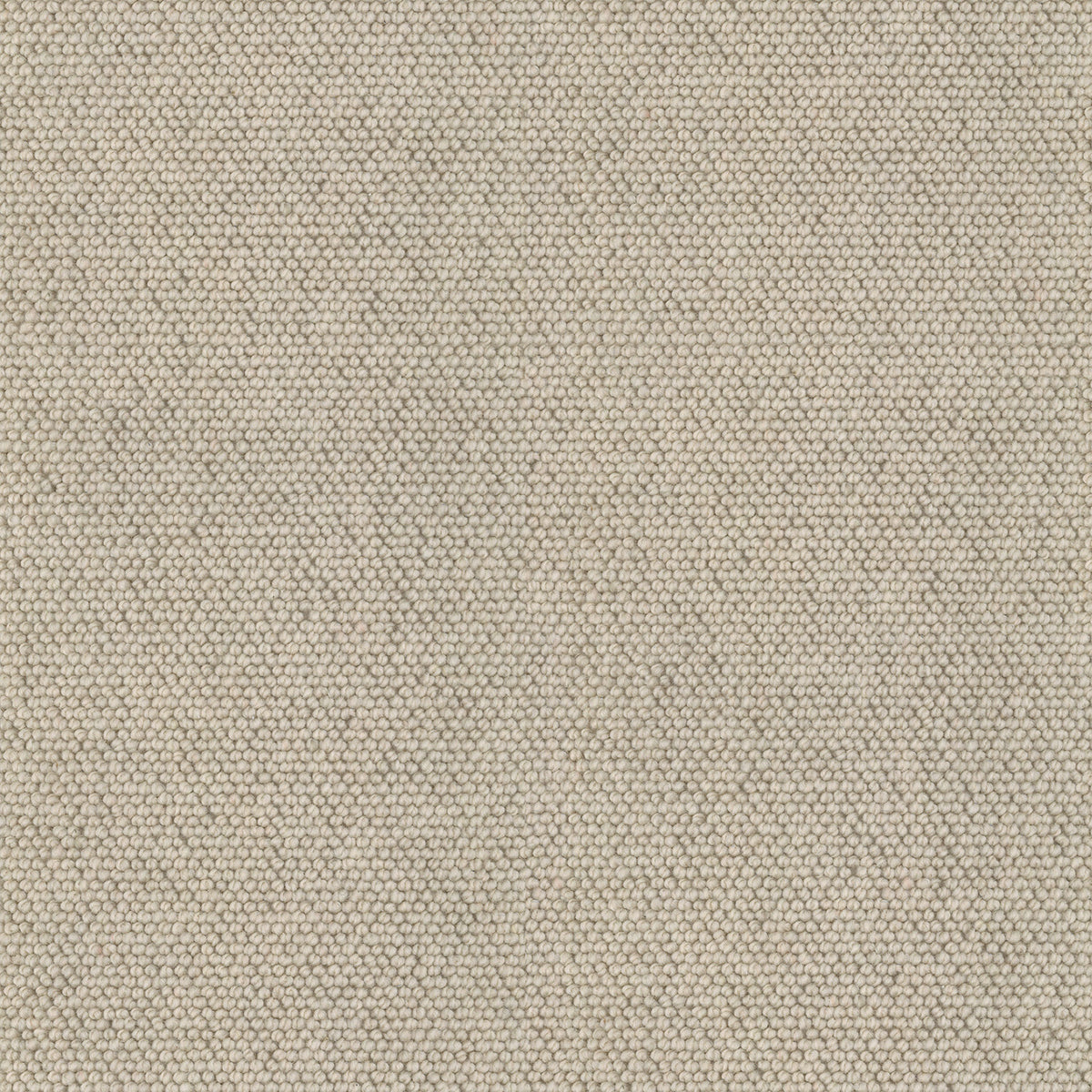 buck-wheat