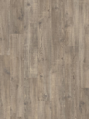 light-worn-oak