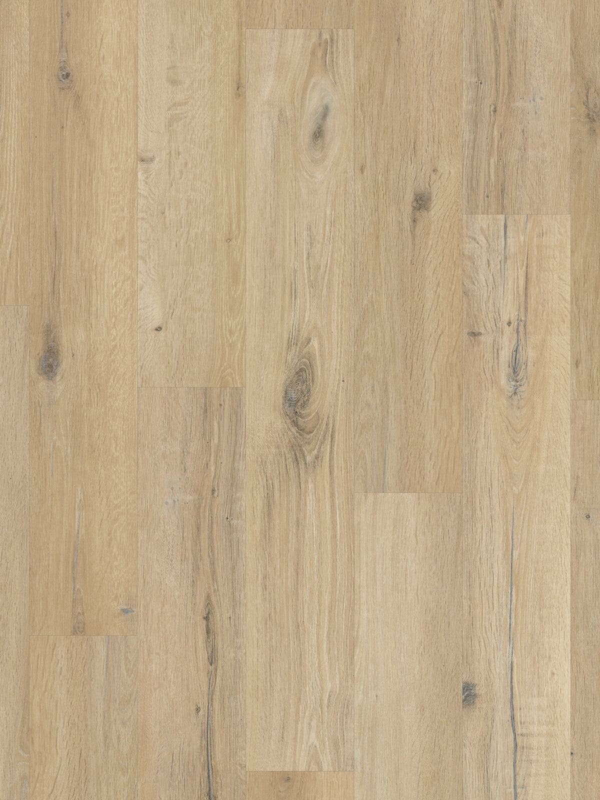 blond-character-oak