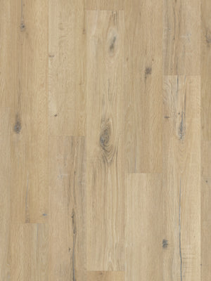blond-character-oak