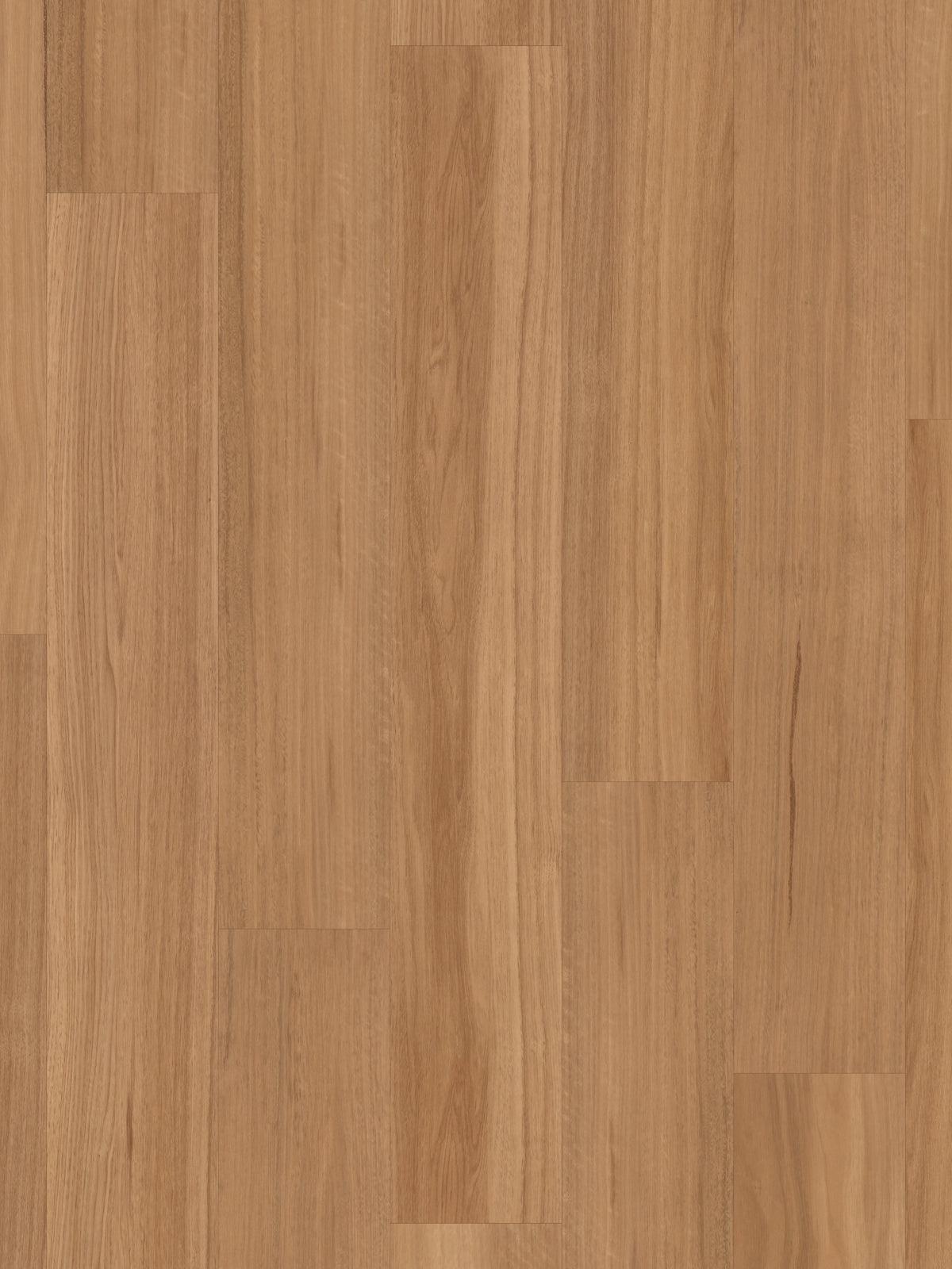classic-spotted-gum