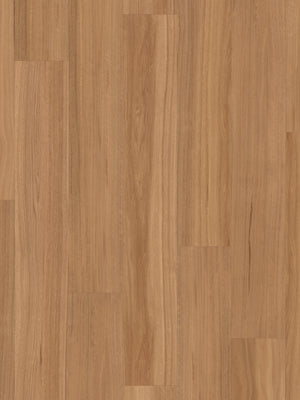 classic-spotted-gum