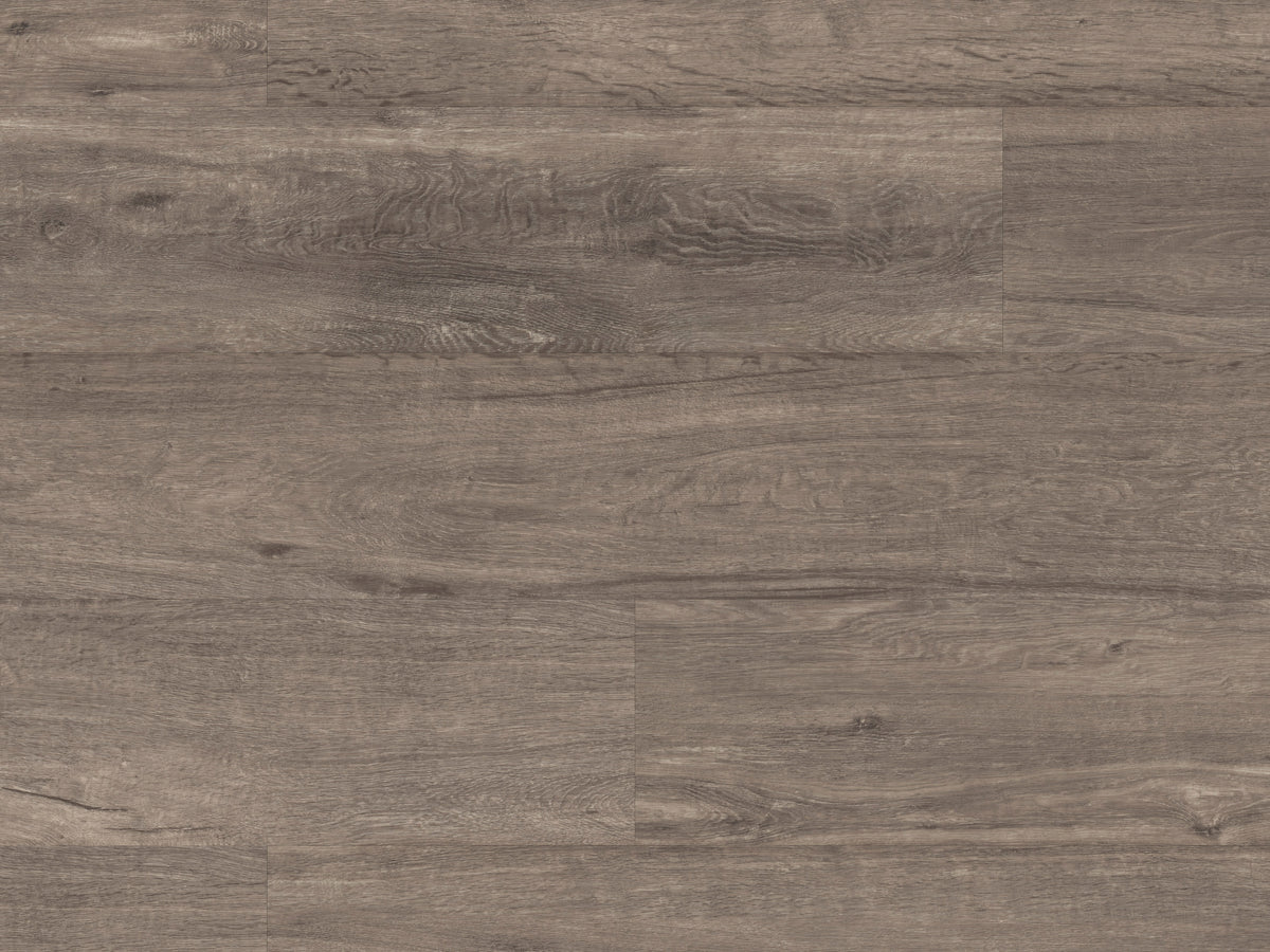 twilight-oak