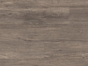 twilight-oak