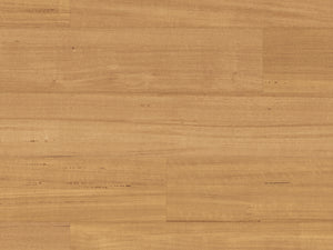 tasmanian-oak