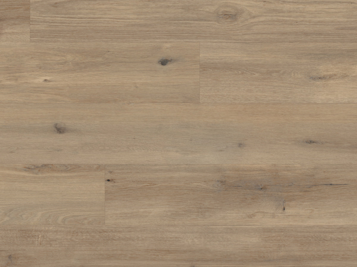 canadian-urban-oak