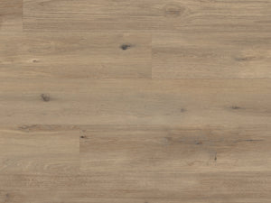 canadian-urban-oak