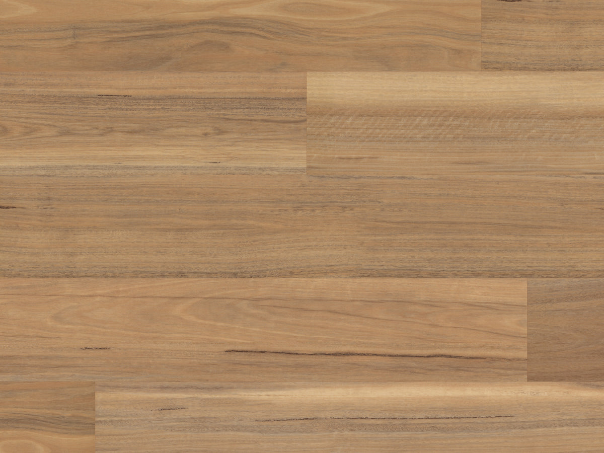 weathered-spotted-gum