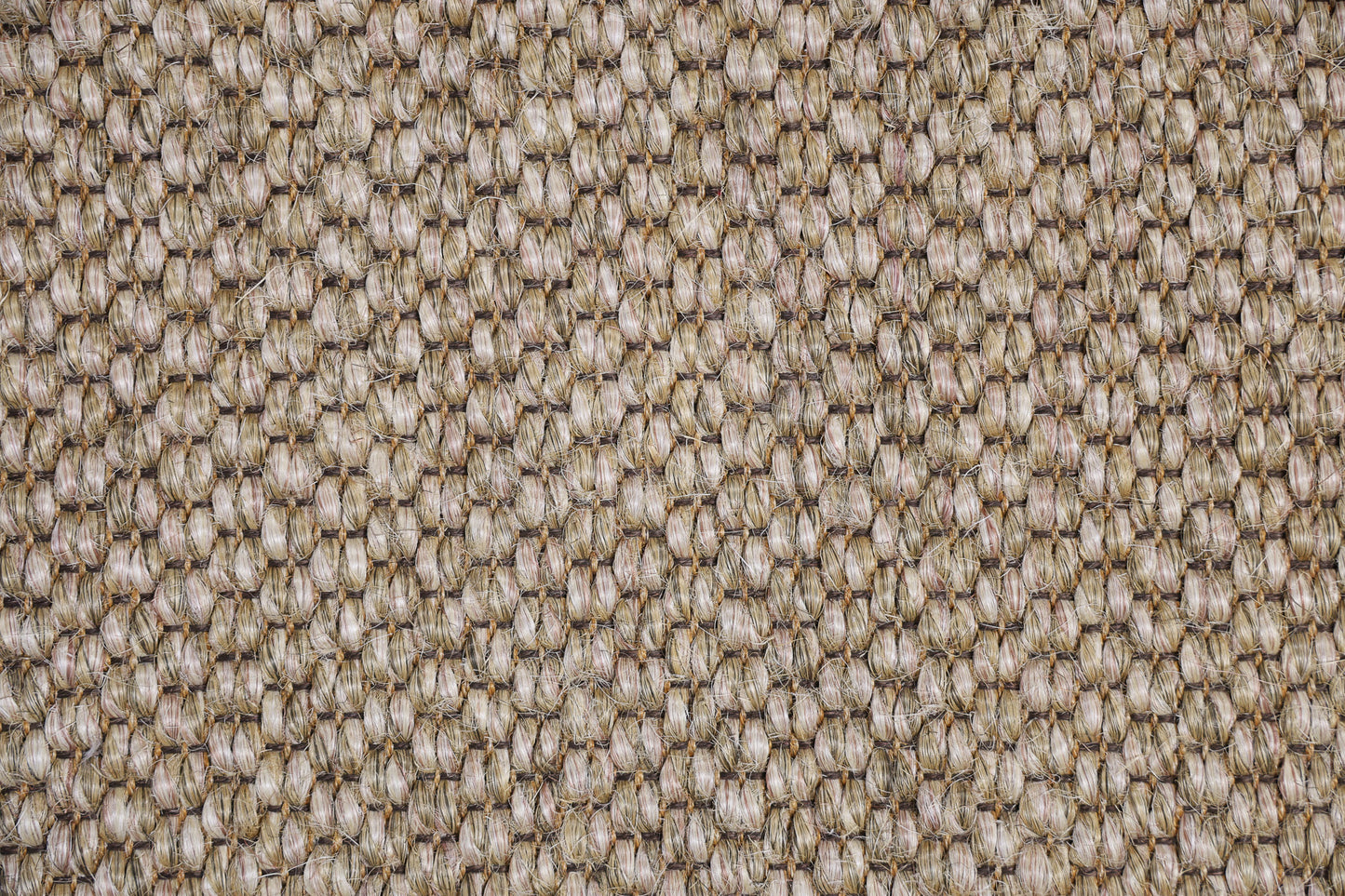 Sisal
