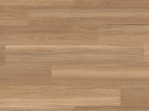 river-spotted-gum