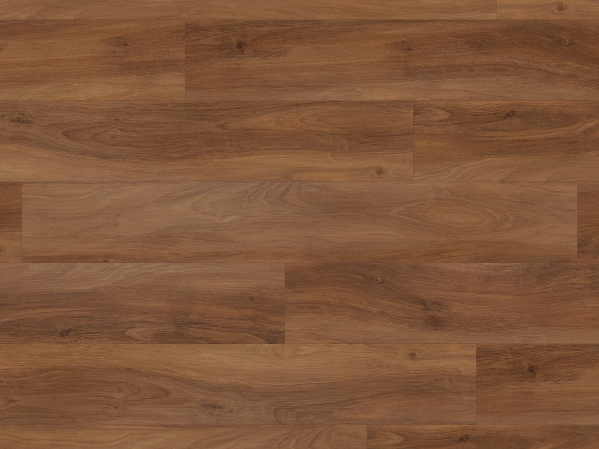 marron-elm